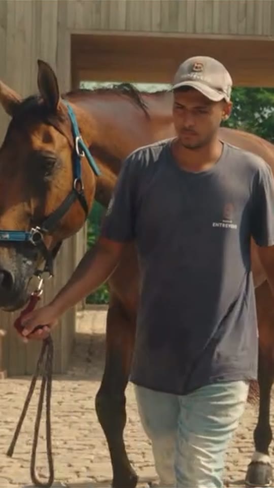 Haras Entrevero